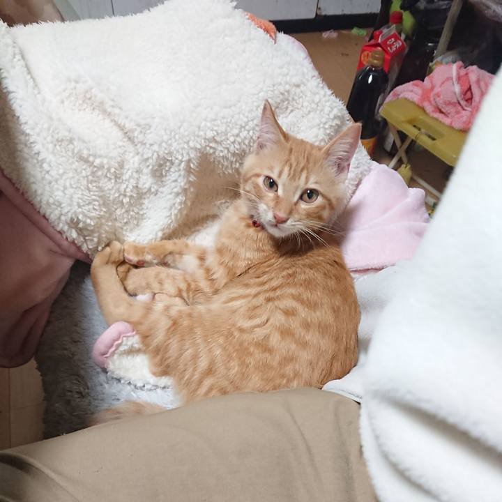 D816c372 4b57 4ea3 94e6 965c808a7f59 1633818260158