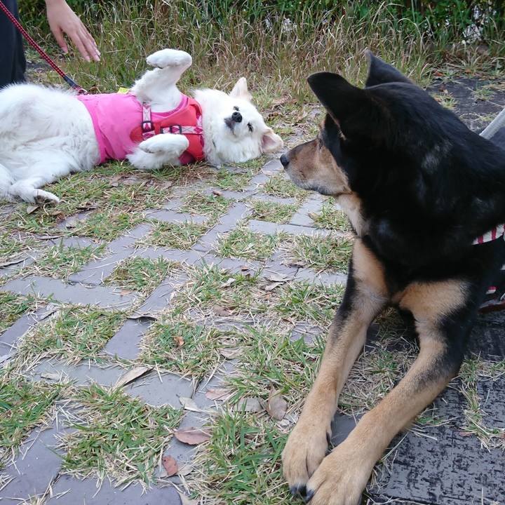 D816c6af 767e 4ebf b210 bc3ededb3ef0 1541671123144