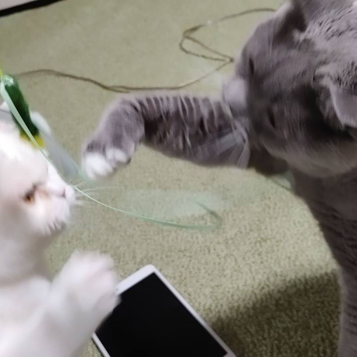 D816ccee 2d41 42db a5b8 c83491e630c9 1631354090407