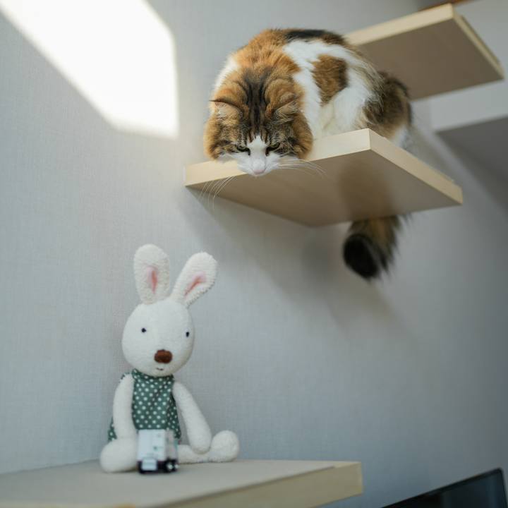 D81707af 7e1f 475e 9ef8 2f543f11d535 1735198627550