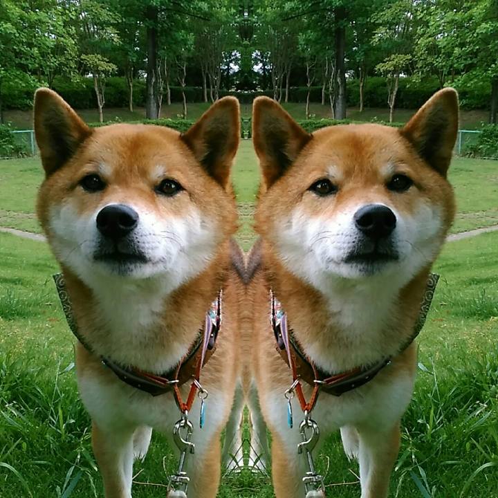 D817197c 94de 4764 9e96 53394b024690 1527635719110