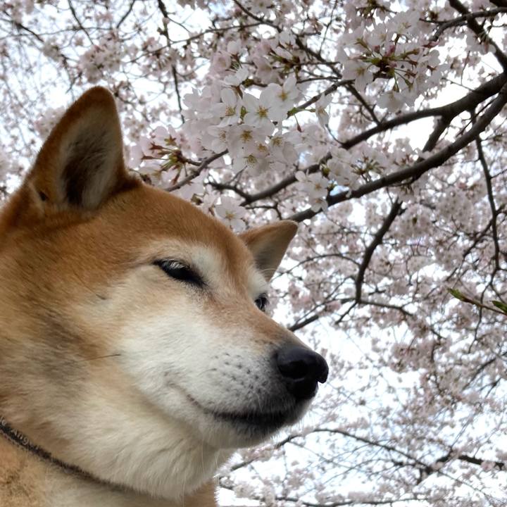 D81748b4 7843 4cc1 ba57 686d7dc8f044 1648357156415