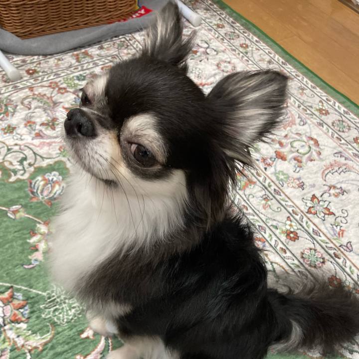 D8174cf7 9b79 49f8 a658 e10b12a20b86 1659154495175