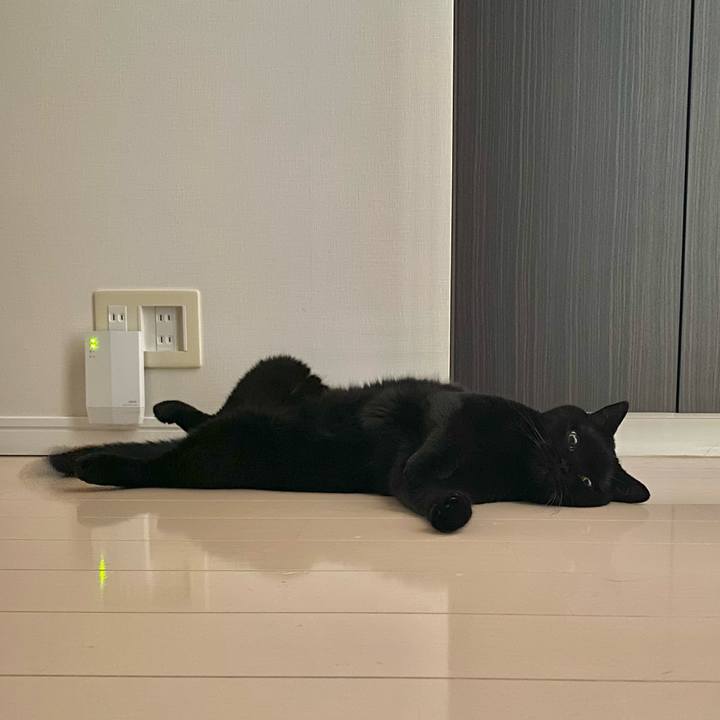 D817656a d791 46b1 90f6 f07a7878ca5c 1755913232112