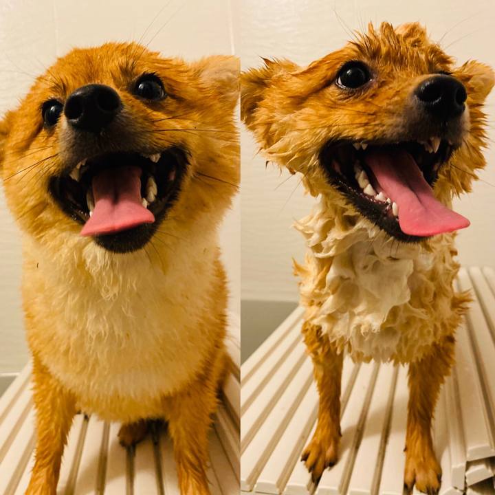 D817c30b 1187 47a2 993e 78868422cc51 1595036456491