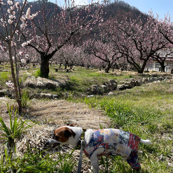 D817e02c dc1d 4354 9434 10d4444ea12e 1649329168302