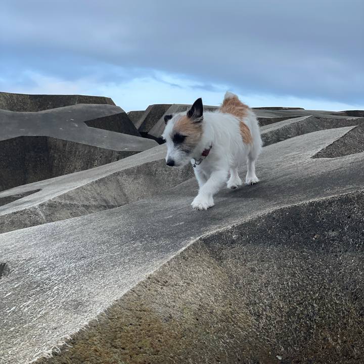 D817e50a f9e0 43eb 979b 41ecbf53b76c 1616971226822