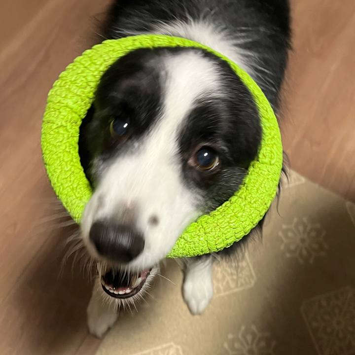 D817e567 ae4c 4845 9992 757962e5f75d 1761081355852