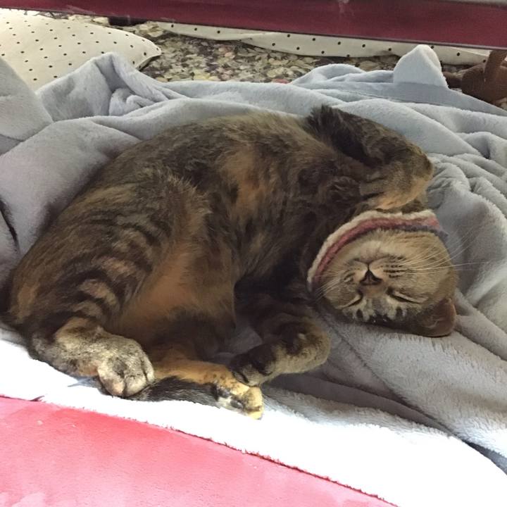 D817fb15 0fe3 4f75 a694 5db3ad444ff7 1624091380217