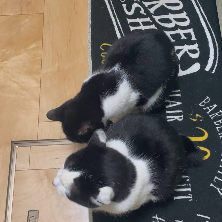 D8182e83 7b32 42b9 9dbb 90a54e4222db 1704913498774