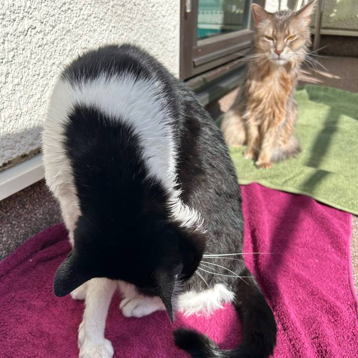 D8187ec4 4df5 4352 839f 4bf9a6c872f4 1761630900124