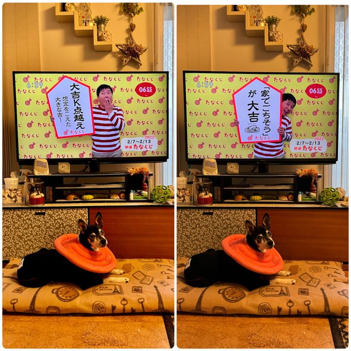 D8187ff4 6829 41d6 8fb2 63c23a7210df 1644185518643