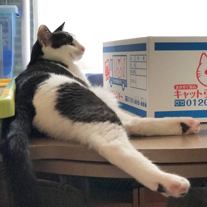 D8188a5a e558 4b1c a57e ea1cc58f0d38 1534121554345