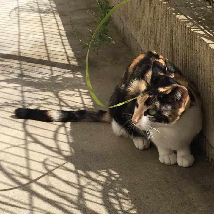 D81893da 3d18 4caa 88f6 c52054e367f8 1508908668500