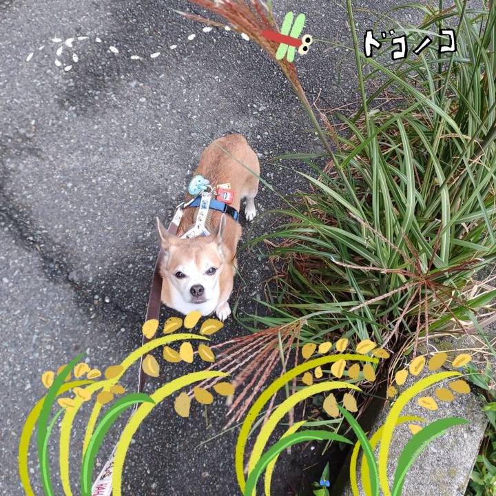 D818a695 2ae4 4435 9b5d 5168662e72cd 1761693063927