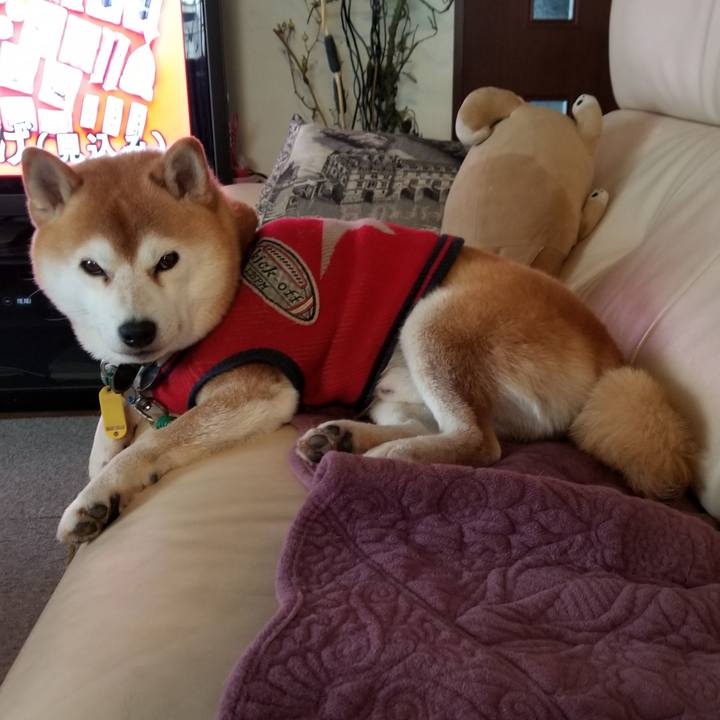 D818c50b 6445 4876 a287 4b0e3d370159 1608075996032