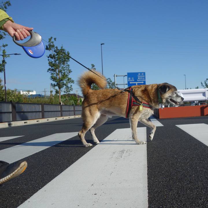 D818d1dc dcd5 4017 b326 55332e9cee7f 1572395803583