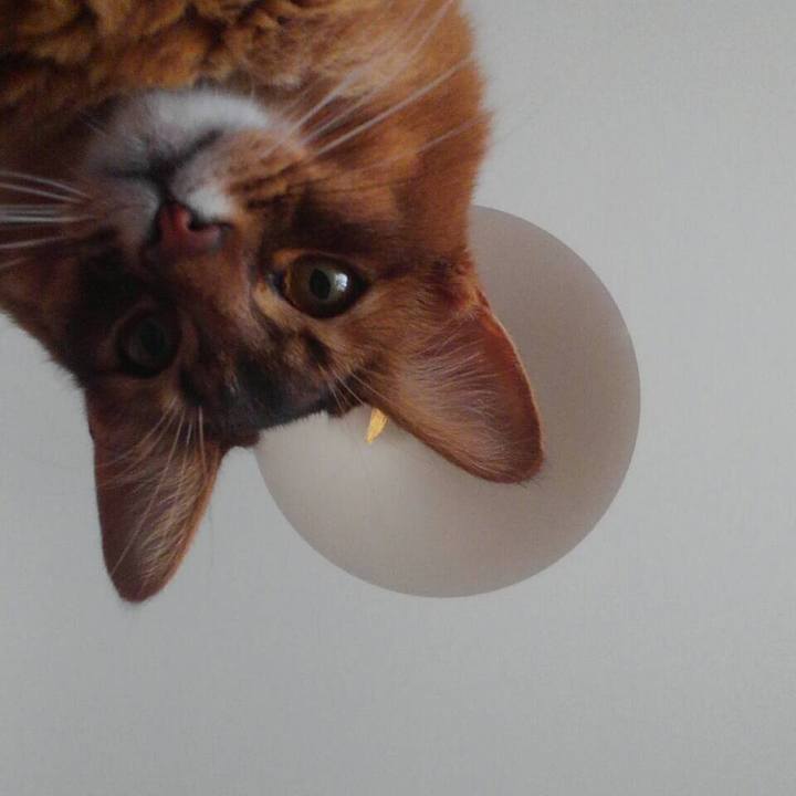 D818dcb3 ac8d 420d 9e36 4d528326cdee 1617690586806