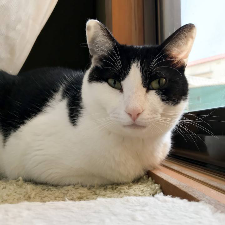 D818fa8e cc0e 4032 a133 820d33b6887f 1522894854810