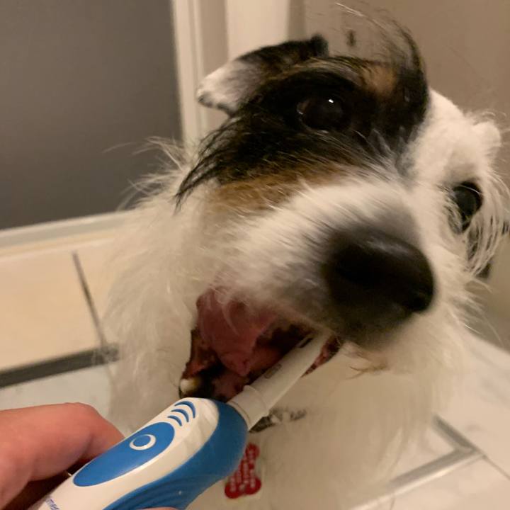 D8191e23 9847 412b 8937 a4202eaf3a58 1685276904660