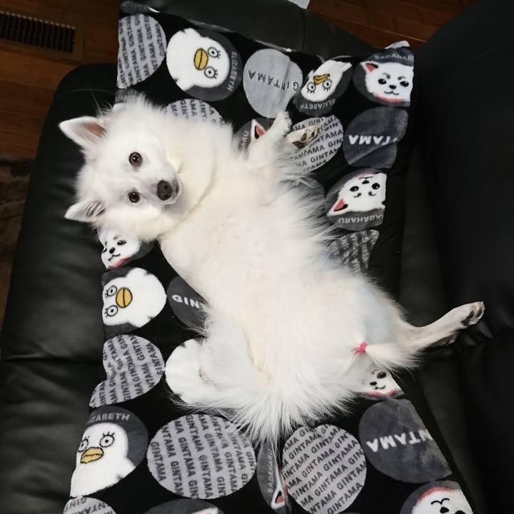 D81927a4 4a20 4062 a2bc 81b9339cdf63 1546180291880