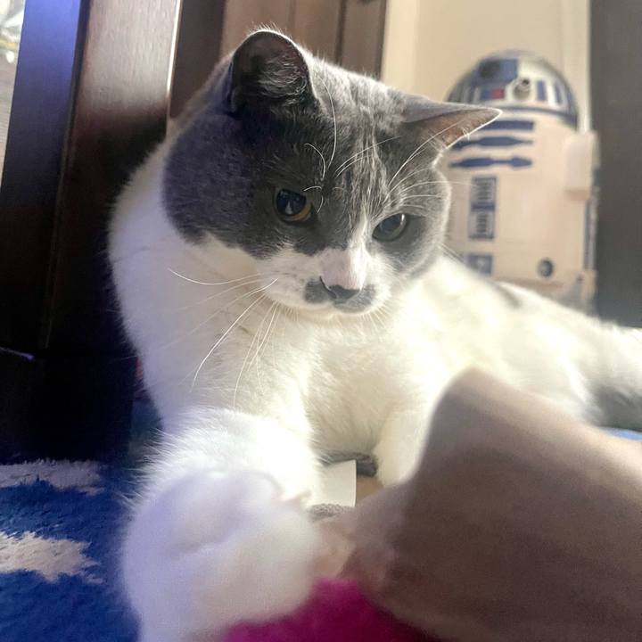 D8195db9 7952 434e 9d70 4a3478c7c301 1687557404536