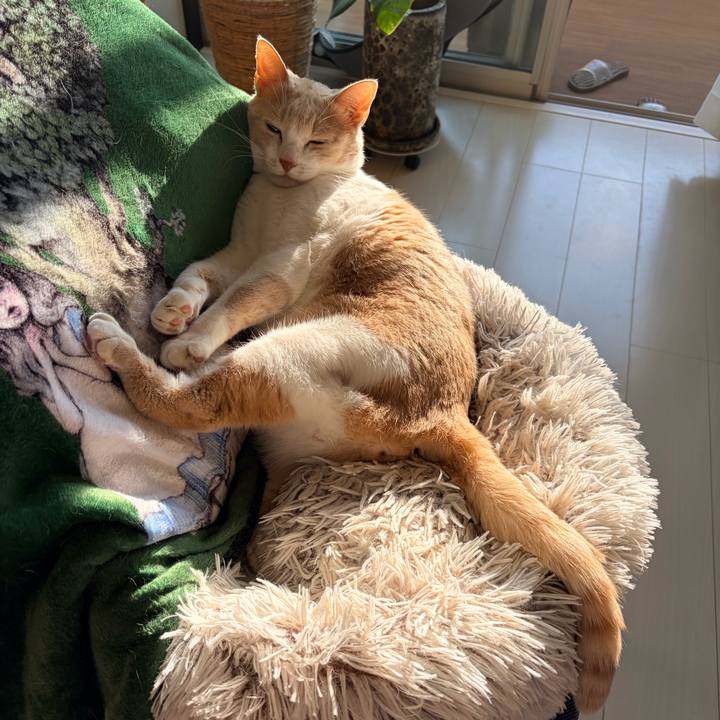 D8197a5d 9073 479b b8d4 04e2f53119b9 1771141922141