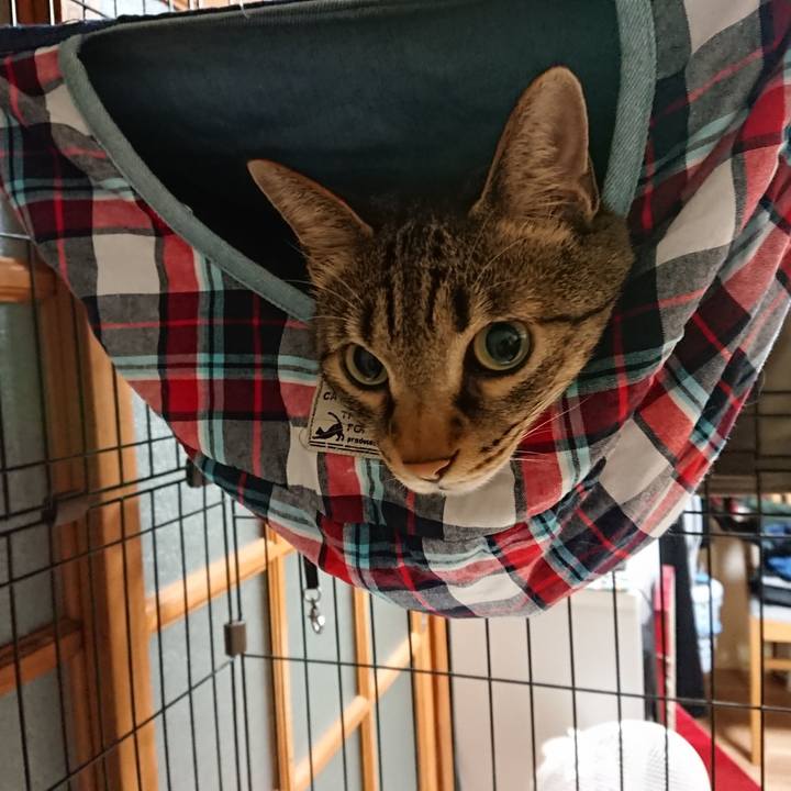 D81995d6 4694 4f67 a59b 7967c4c0e874 1562411626752