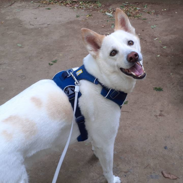 D819c285 6e79 475d 9409 512f98f10830 1683345572236