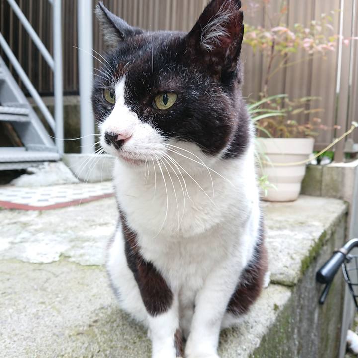 D819cf81 6642 4b73 b91f 543206da41dd 1657067980829