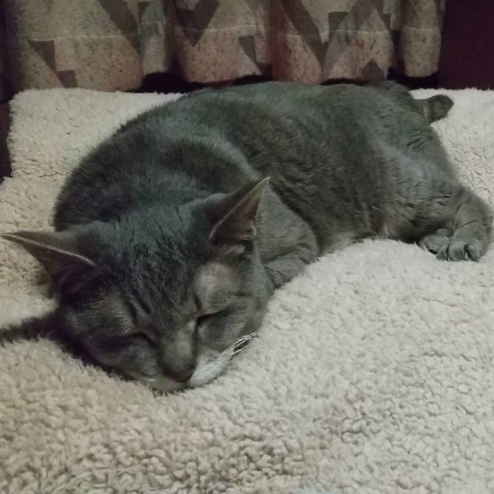 D819d0a7 ba2e 4a62 8895 3182ff568e9f 1685459643791