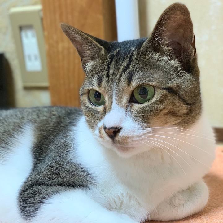 D819d9a0 26e1 4859 9811 b0680e9bf895 1565049211895