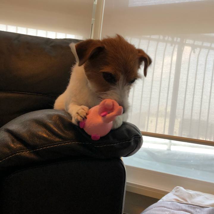 D819fc08 4901 4a08 9e01 7c93e081613b 1532404319073