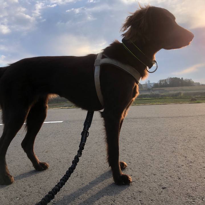 D819ff36 4814 47ef 802c 2c822a141038 1584504310278