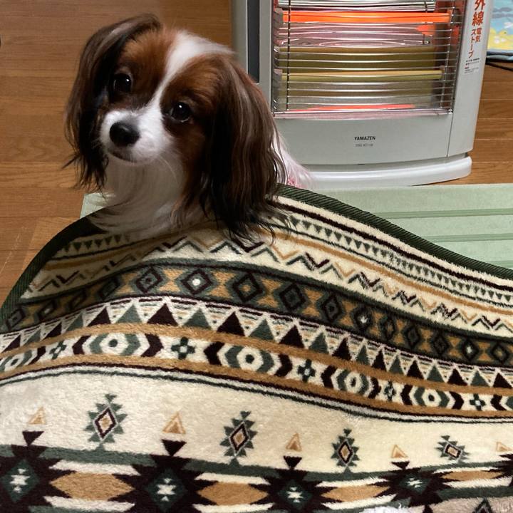 D81a177d 88c6 47ea 9f13 a711b15742a1 1635838684940