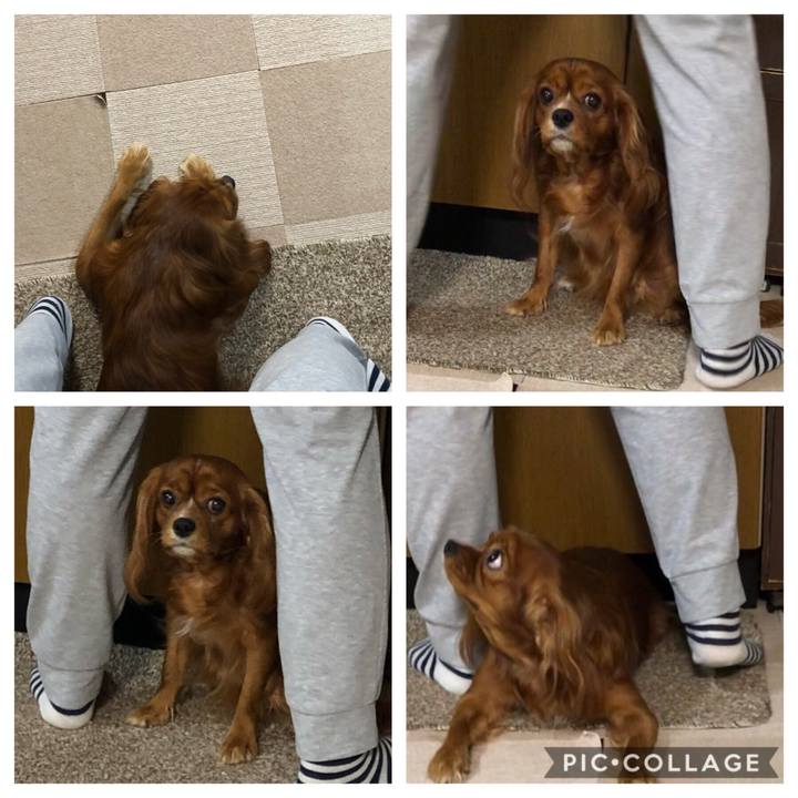 D81a82f4 aca0 4f74 b224 8ffb28c54f26 1570630794214