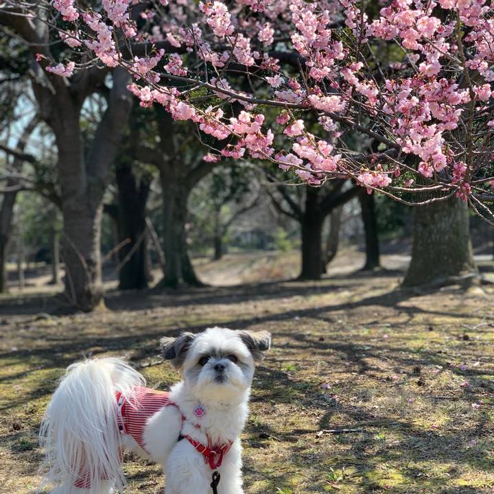 D81a9711 9617 4838 ab7f f945ea42ba93 1552101638648