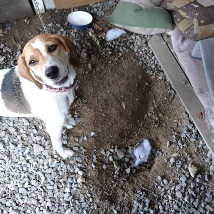 D81aae37 4e4e 4bae 8adf e2fc874a410f 1599461290174