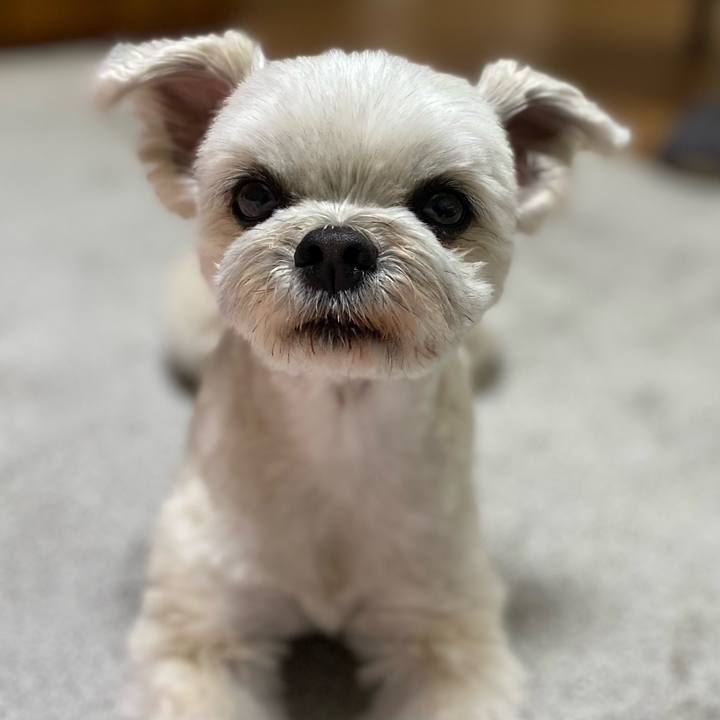 D81abcdc 0021 4392 b4ef 21ff81d34f93 1678626724122