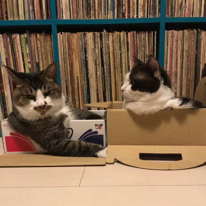 D81adcff f848 48a0 a192 86a57ad0efd1 1599979237803