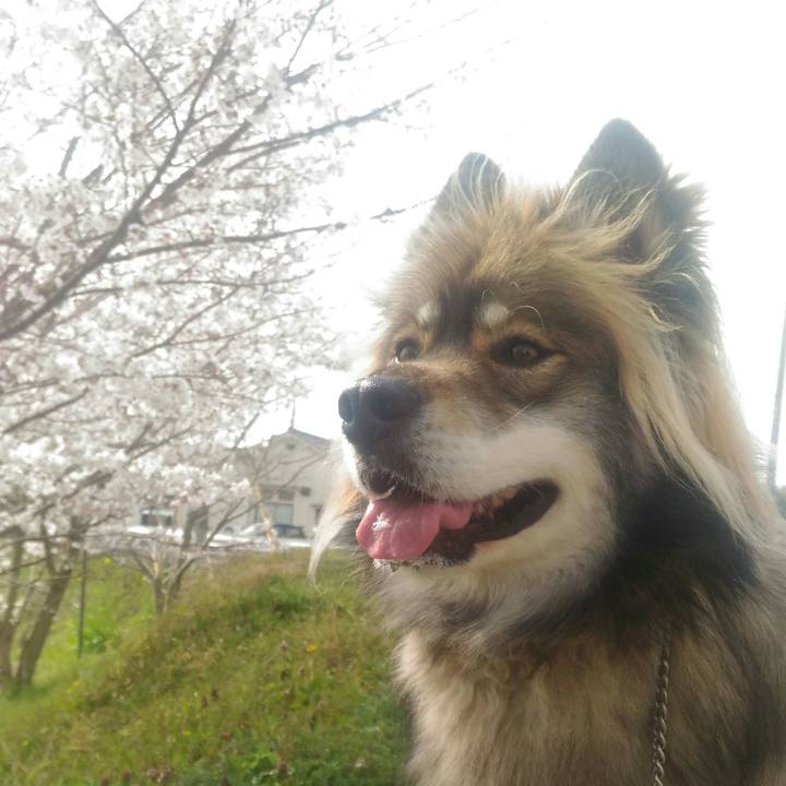 D81aed56 90f5 4053 9b35 91519ca9a8a5 1522544404128