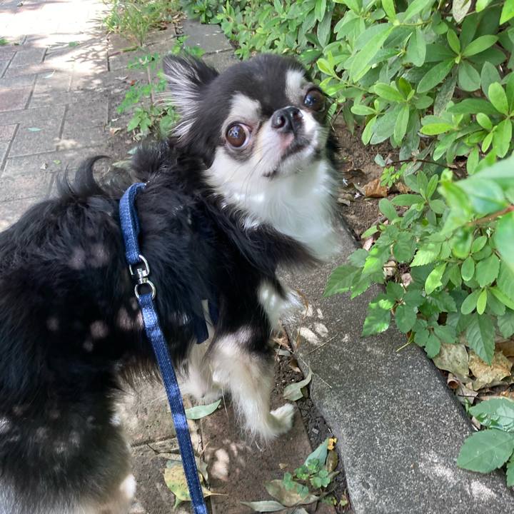 D81b7db6 f0f8 4fcf b7a2 256a1ff671f0 1664596634373