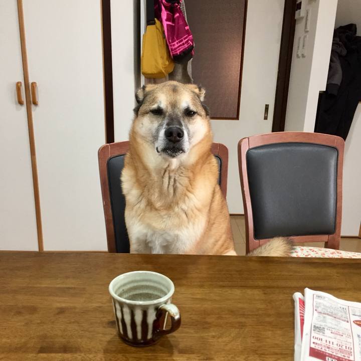 D81b9076 1ff1 496f a5de db77ac7de1d7 1579909183163