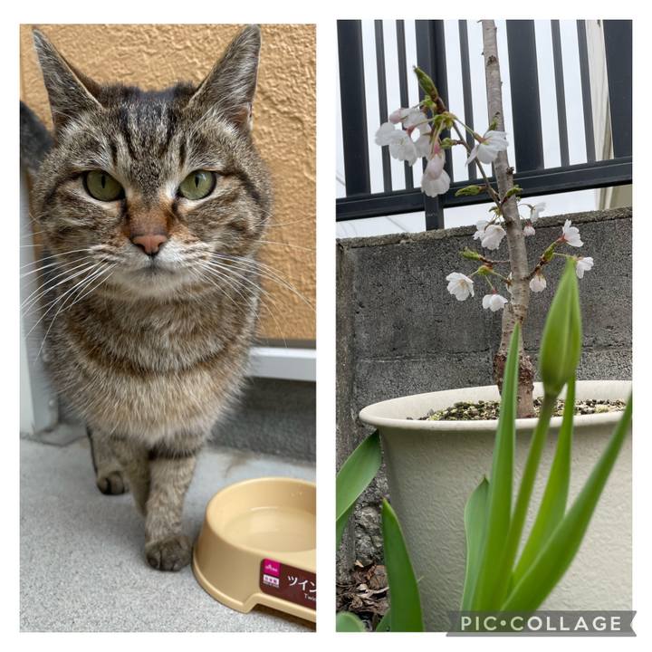 D81b915c 8144 475f b371 9d608e8a8a1f 1681887348028