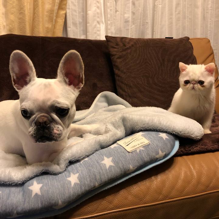 D81b9529 40f1 4dac 8909 f32d08764d1c 1546869724877