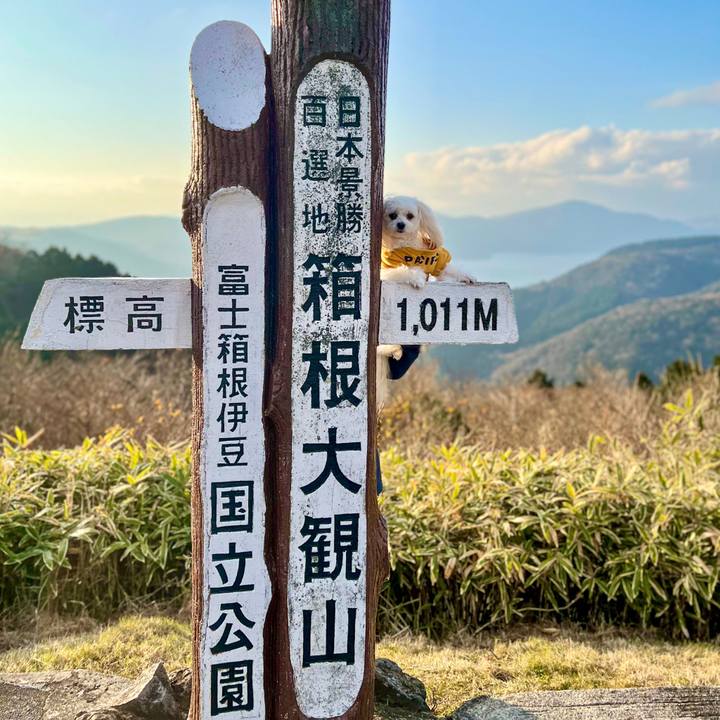 D81b9e97 aebf 4b38 a406 ba2d2e994395 1670743879682