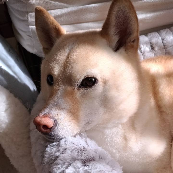 D81badcd 3df5 4ac9 aa2c d3610b1a05c8 1579572990388