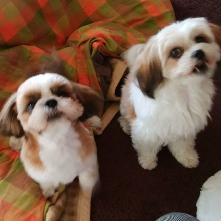 D81bb910 2d66 48fc af84 2c6321740f23 1541577806023