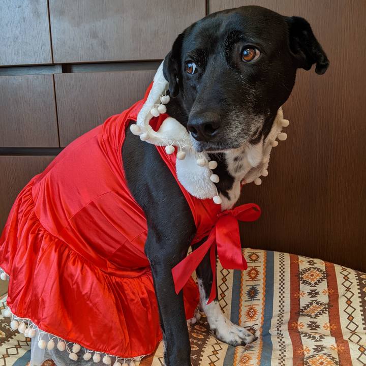 D81bbd13 300f 4255 b675 224e01a2c6de 1703140565032