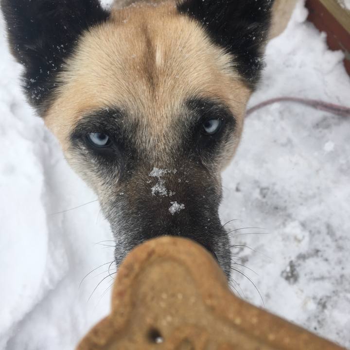 D81c06ad b0d1 4f1f a3d9 b7183092ecca 1519661144018